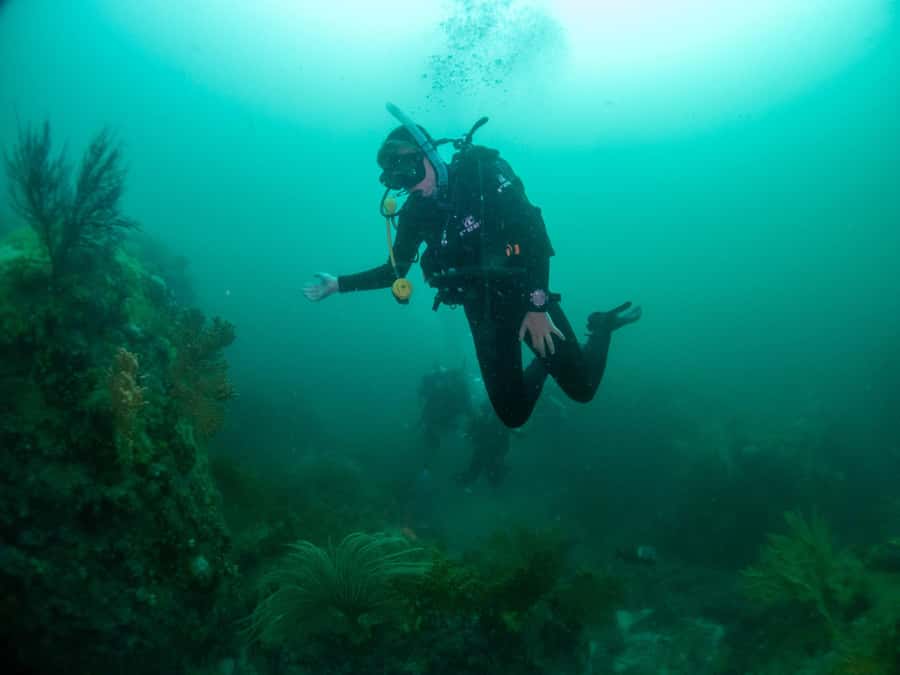 Cape Town: Discover Scuba Diving - 1 day experience - The pacing: 45 minutes to 1 hour underwater in a 4-hour day