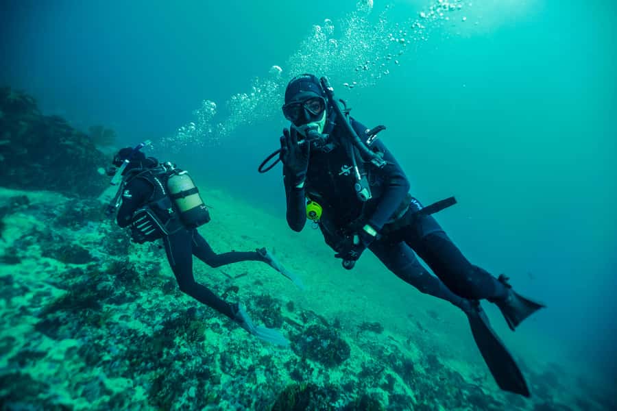 Cape Town: Discover Scuba Diving - 1 day experience - Who should book this (and who should skip it)