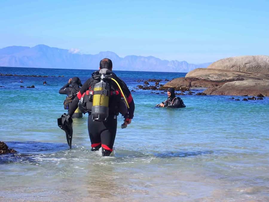 Cape Town: Discover Scuba Diving - 1 day experience - Cape Town meeting point to Simon’s Town: what your day actually feels like