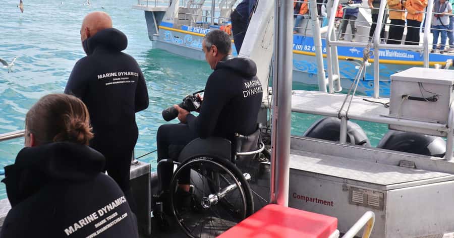 Cape Town: Gansbaai Eco-Friendly Shark Cage Diving Cruise - Slashfin and the cage protocol: what the day feels like