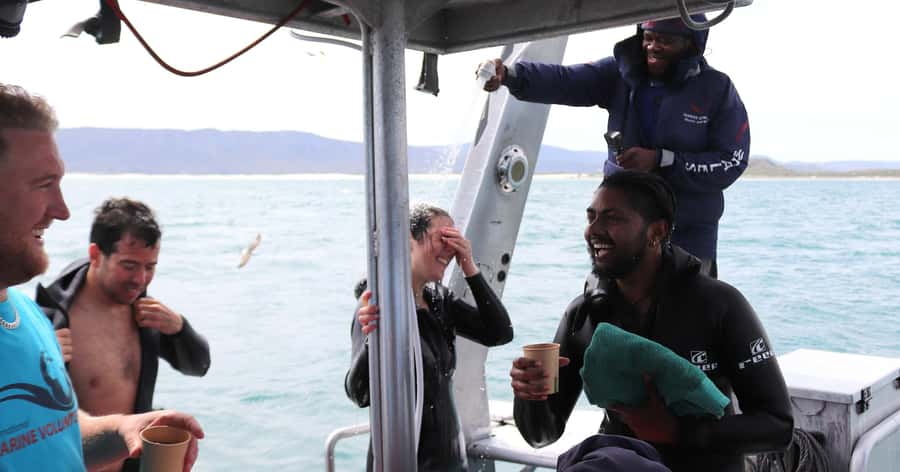 Cape Town: Gansbaai Eco-Friendly Shark Cage Diving Cruise - Joubertsdam cage time: bronze whaler sharks up close