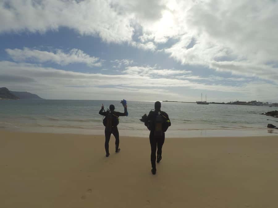Cape Town: Scuba Diving Experience for Beginners - Key things to know before you book