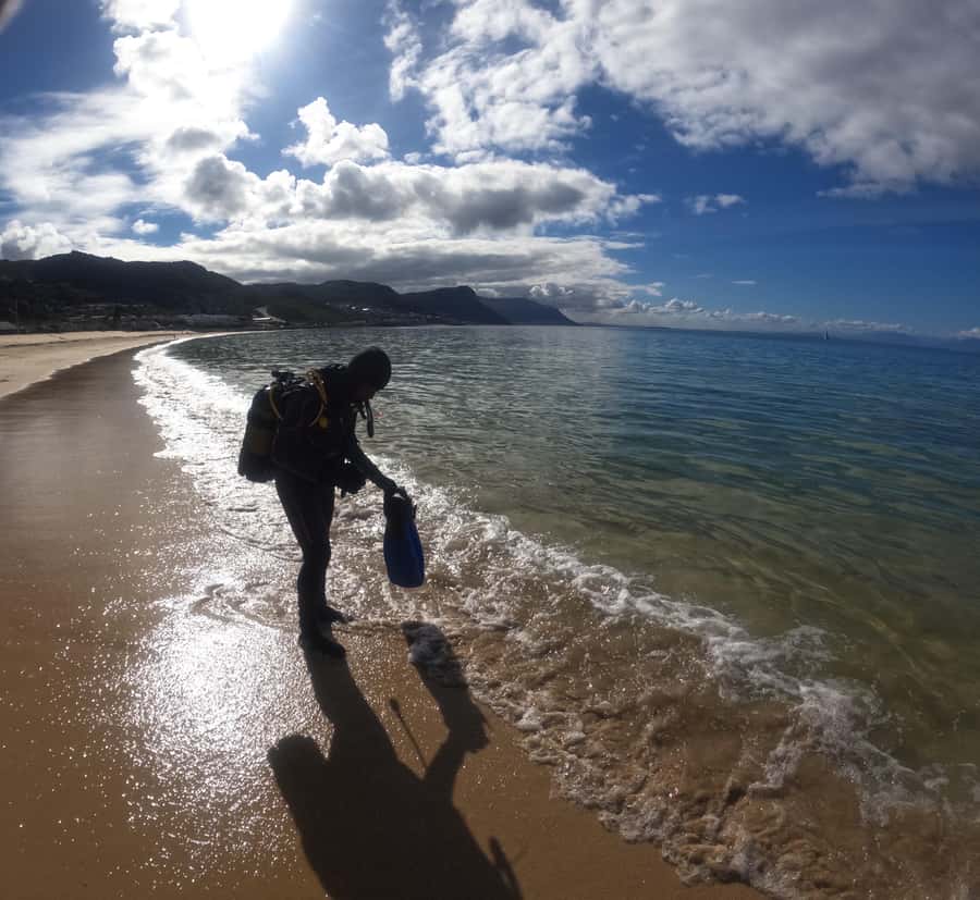 Cape Town: Scuba Diving Experience for Beginners - The 45-minute safety briefing that keeps things sane