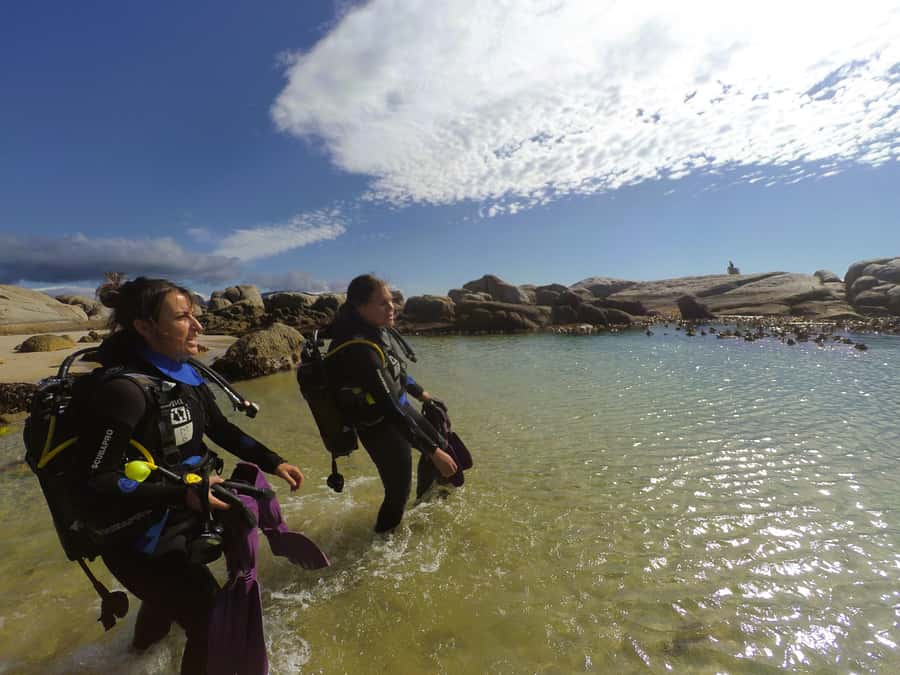 Cape Town: Scuba Diving Experience for Beginners - What to bring so your day feels easy