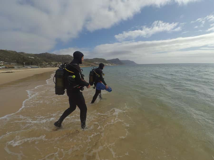 Cape Town: Scuba Diving Experience for Beginners - Jubilee Square meeting point and getting kitted up