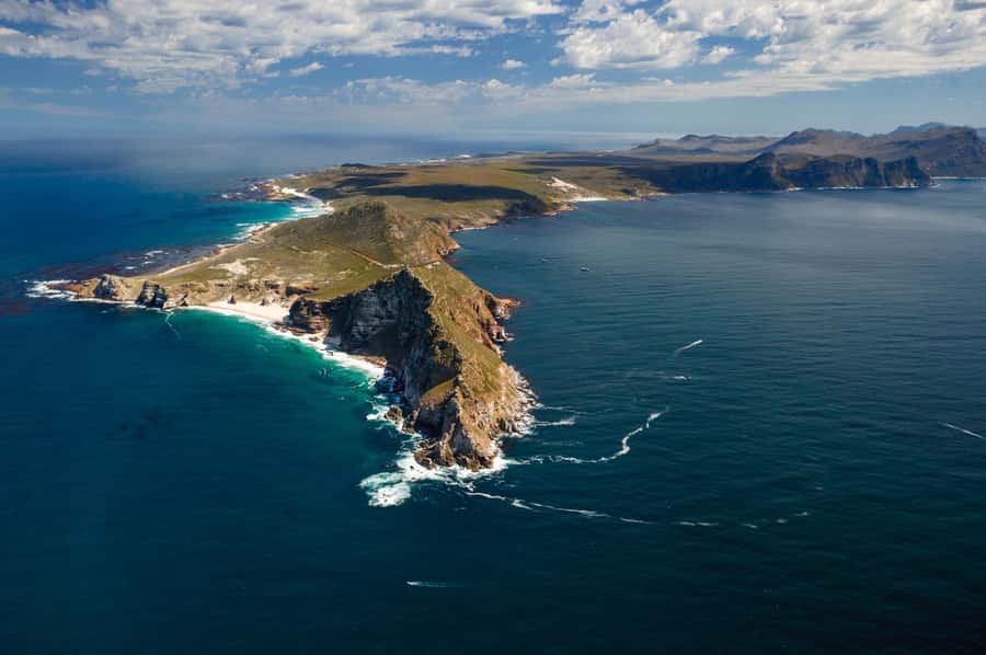 Cape Town: Shark Cage Dive - Who should book this (and who should think twice)