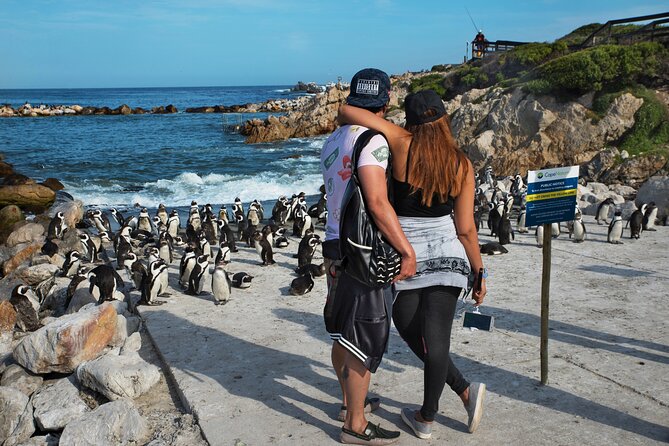 Cape Town: Shark Cage Diving & Penguins Tour to Gansbaai with private transfers - How the 6:00 am Pickup Sets Up a Full Day on the Coast