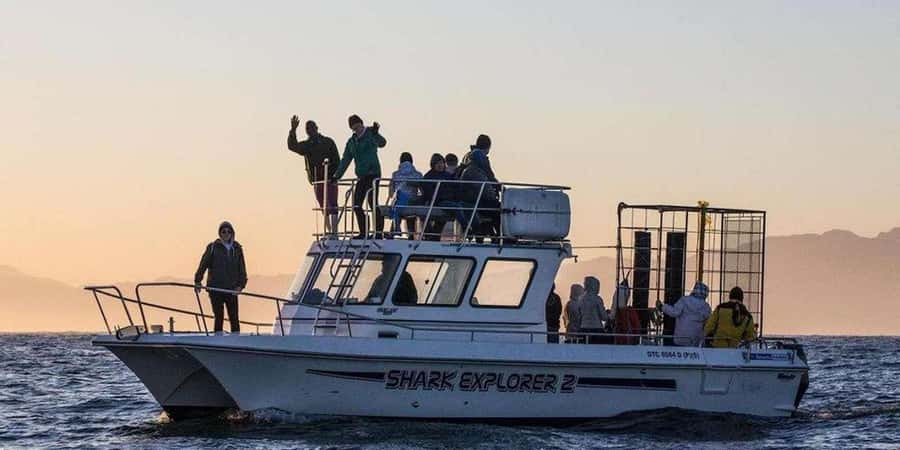 Cape Town: Shark Cage Diving Tour (with Breakfast & Lunch) - Key moments worth planning for
