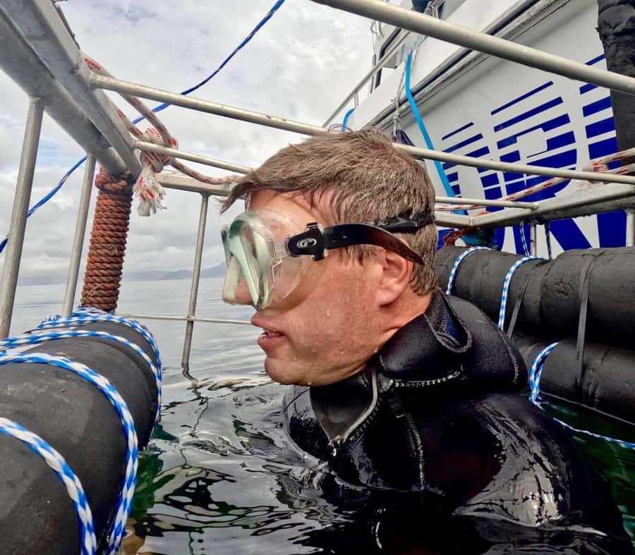 Cape Town: Shark Cage Diving with Snacks and Soft Drinks - What you’ll likely see: bronze whaler sharks and other marine life