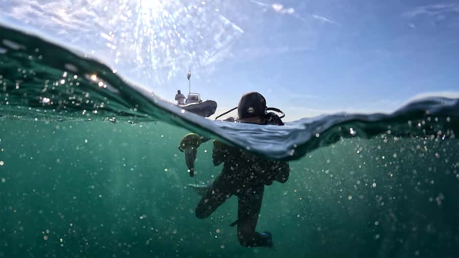 Cape Town: Shark Science SCUBA Diving Experience - From Safety to Water Time: What the Morning Schedule Feels Like