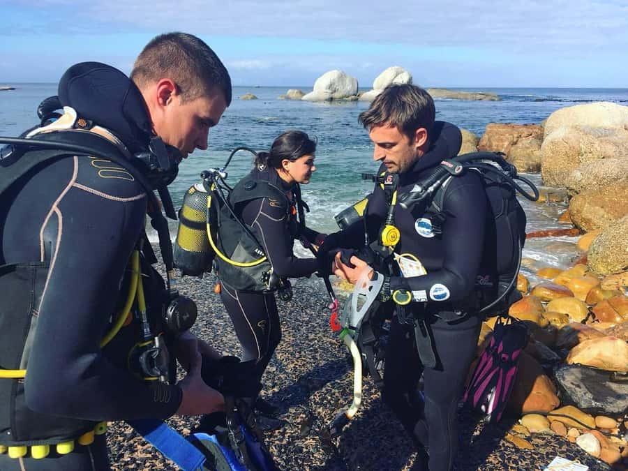 Cape Town: Shark Science SCUBA Diving Experience - The Gear and Support Setup: What’s Included and What You Need
