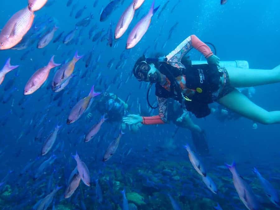 Cartagena: 2 Tanks Dive Plan For CERTIFIED DIVERS - Key things that make this plan worth your time