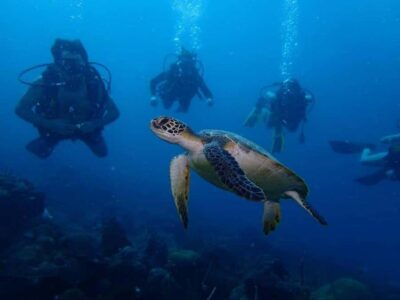 Cartagena: 2 Tanks Dive Plan For CERTIFIED DIVERS - The boat run to Barú: it’s not just transit