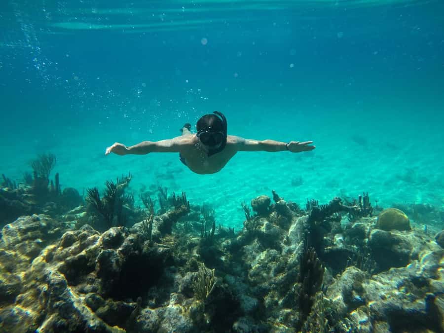 Cartagena: Basic Diving for beginners in Rosario Islands - Barú Island First-Scuba: What This 6-Hour Cartagena Trip Really Delivers