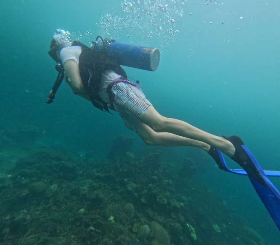 Cartagena: Basic Diving for beginners in Rosario Islands - Should You Book This Basic Scuba Trip on the Rosario Islands?