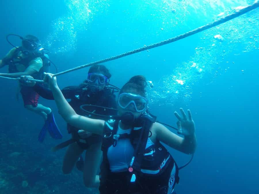 Cartagena: Basic Diving for beginners in Rosario Islands - The Reef Session: How Your 1 Hour Underwater Experience Feels