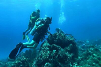 Catalina Island Diving Tour - La Romana sets the logistics, and it affects your comfort
