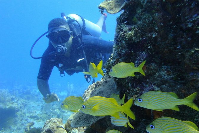 Catalina Island Diving Tour - Timing and what to expect from the full 8 hours