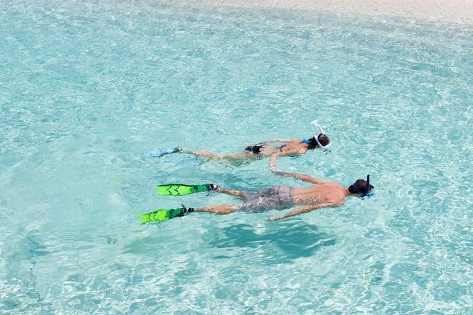 Catalina Island Scuba Diving and Snorkeling Tour from Punta Cana - Key things I’d plan for before you go