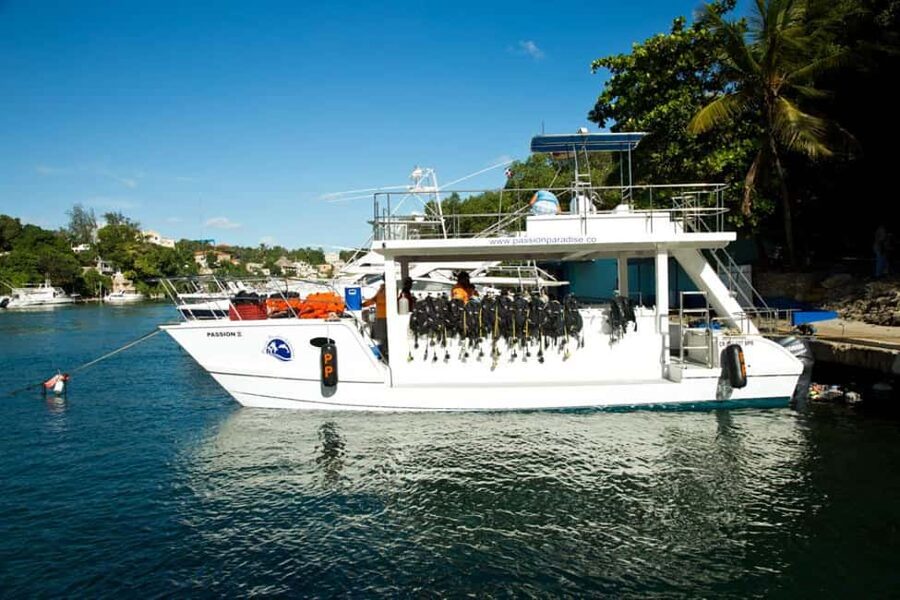 Catalina Island Scuba Diving Tour from Punta Cana - Key highlights you’ll actually feel