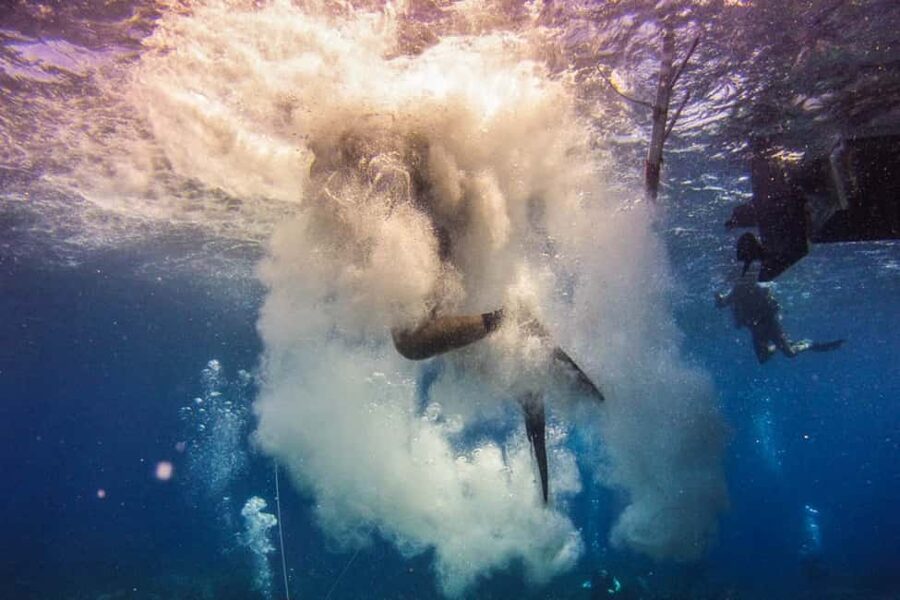 Catalina Island Scuba Diving Tour from Punta Cana - Catalina Island private beach time: BBQ, open bar, and real rest