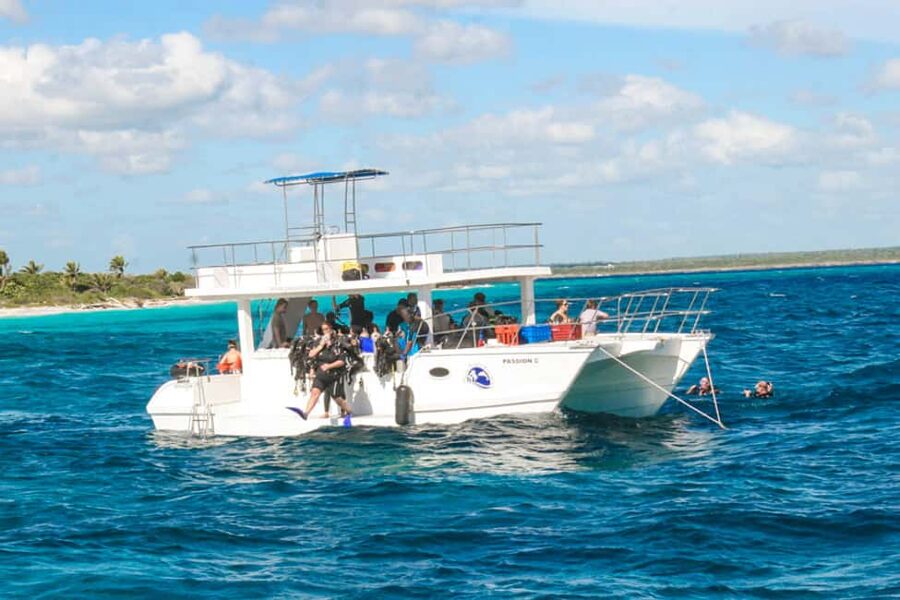 Catalina Island Scuba Diving Tour from Punta Cana - Price and value at $175: what you’re paying for, and what can cost extra
