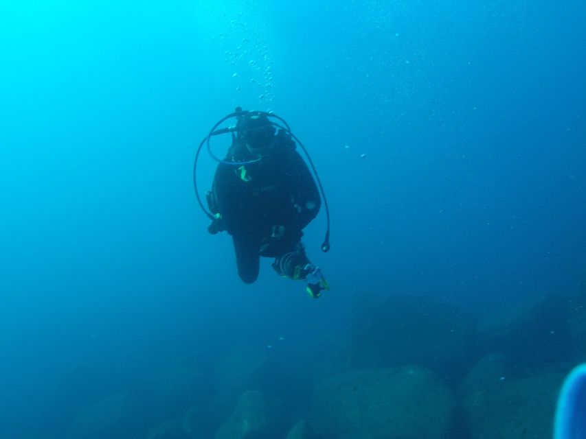 Catania : Diving for patented divers - Who should book this Catania session, and who should skip