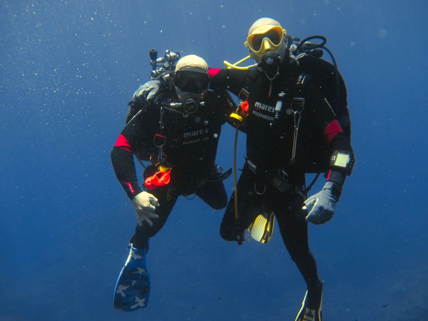 Catania: Gulf Scuba Diving Tour with Marine Biologist - Key highlights you’ll actually care about