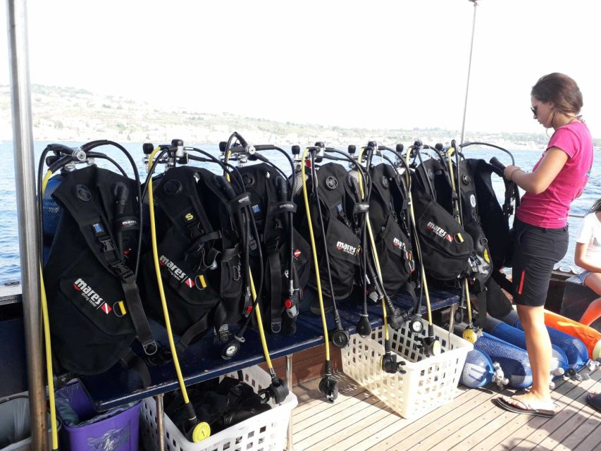 Catania: Gulf Scuba Diving Tour with Marine Biologist - What you’ll see underwater: lava textures, then fish and octopus