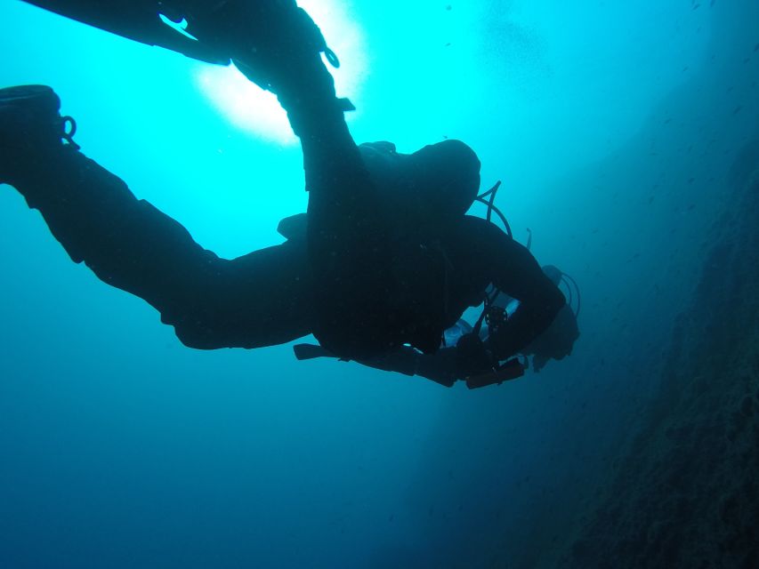 Catania: Gulf Scuba Diving Tour with Marine Biologist - Price and logistics: is $82 good value for Catania?