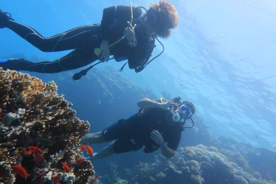 Catania: Gulf Scuba Diving Tour with Marine Biologist - Who should book (and who should skip)