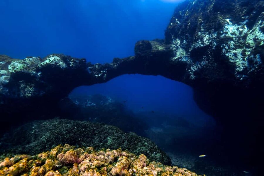 Catania: Scuba Diving Experience - Camping Jonio Check-In: Where Your Gear Story Starts