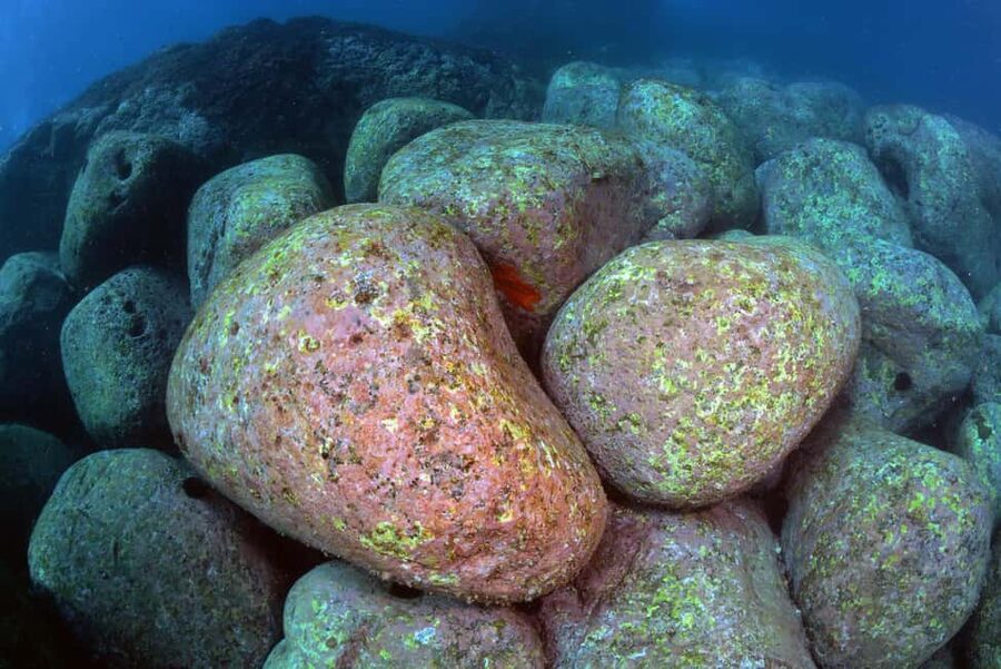 Catania: Scuba Diving Experience - Ionian Sea Volcano Theatre: Lava Flows and Submerged Caves
