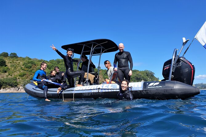 Cathedral Cove Dive & Snorkel- Marine Reserve specialised trips - Key things I’d plan around before you go