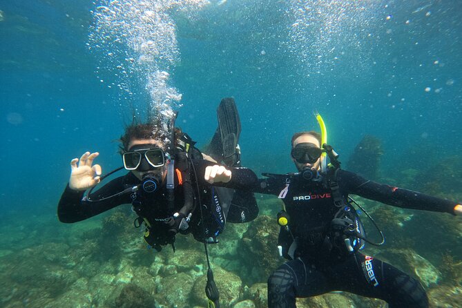 Cathedral Cove Dive & Snorkel- Marine Reserve specialised trips - Snorkelling support: floating aides and prescription masks for more comfort