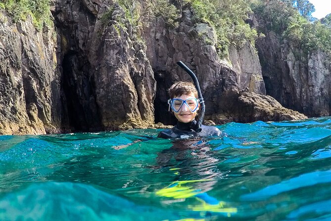 Cathedral Cove Dive & Snorkel- Marine Reserve specialised trips - Hahei Beach schedule and what “2 hours” feels like in real life