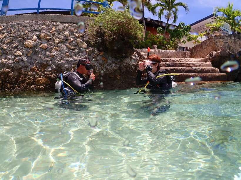 Cebu: Beach Scuba Diving Experience - What You’ll See Off Mactan: Sardines, Sea Turtles, and Colorful Fish