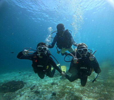 Cebu: Beach Scuba Diving Experience - The 2–4 Hour Flow: Briefing, Shallow Practice, and About 45 Minutes Underwater