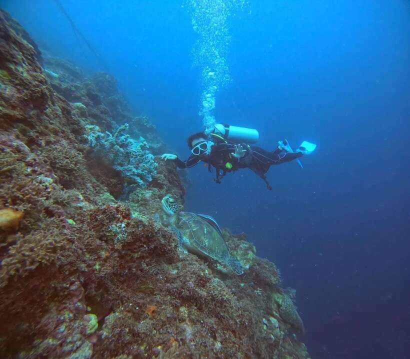 Cebu: Beach Scuba Diving Experience - Safety Rules You Should Know Before You Go Underwater