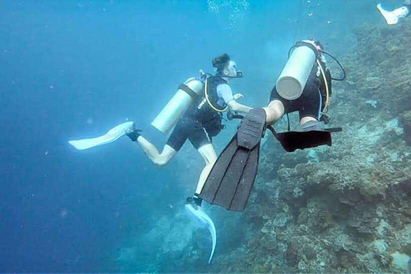 Cebu: Moalboal Scuba Diving, Sardines Run & Pescador Snorkel - Your 8-Hour Day: Pickup, Moalboal Time, Then Pescador