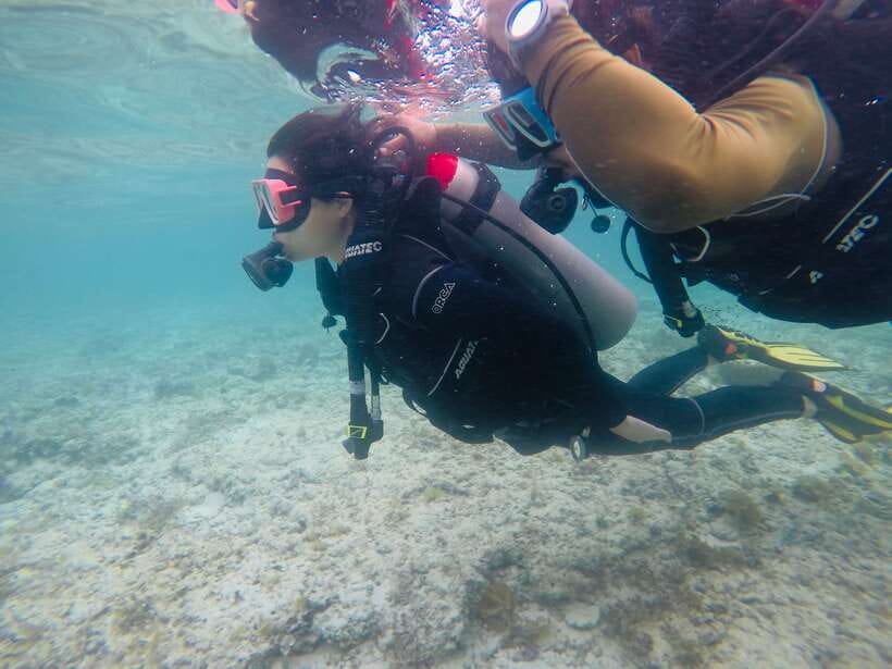 Cebu: Moalboal Scuba Diving with Sardines and Turtle Snorkel - Pescador Island Reef Time: Expect Beauty, Not Guarantees
