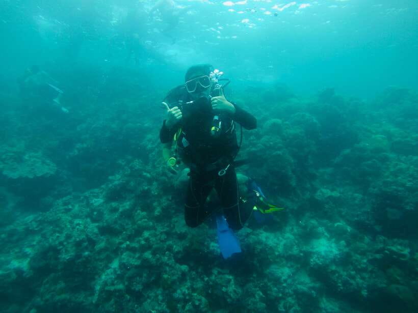 Cebu: Moalboal Scuba Diving with Sardines and Turtle Snorkel - Gear, In-Water Support, and the GoPro Question