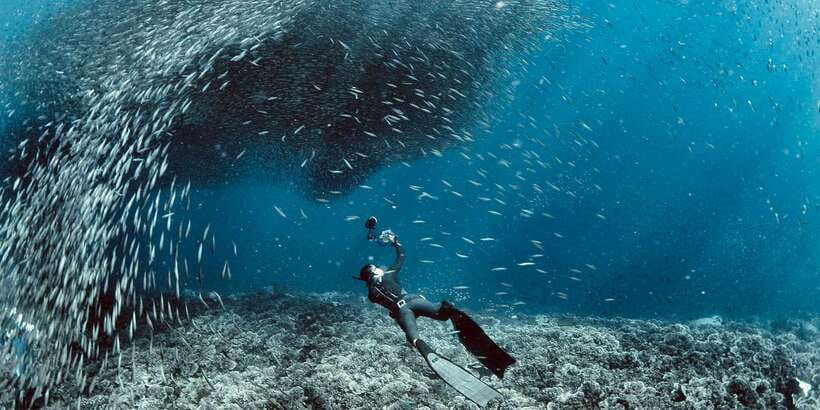 Cebu: Moalboal Scuba Diving with Sardines and Turtle Snorkel - Price and Value: Is $115 Reasonable?