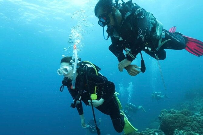 Cebu: Scuba Diving Experience beach entry in Mactan - Underwater time: sardines, colorful fish, and sea turtle odds