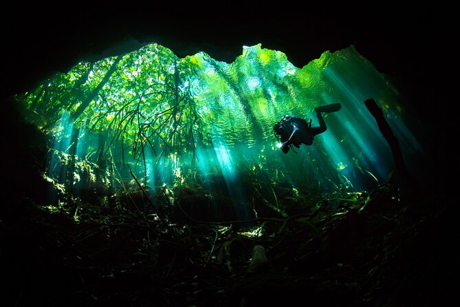 Cenote Diving - 2 Tank Dive Trip for Certified Divers - Your Full Cave Diver Briefing and the Fixed-Line Plan