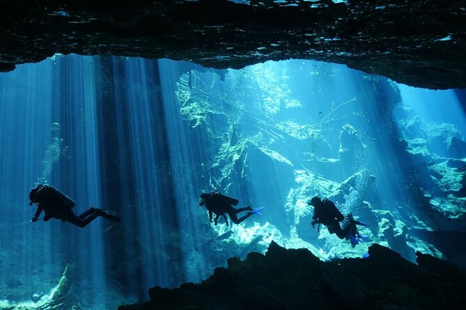 Cenote Diving - 2 Tank Dive Trip for Certified Divers - Price, Included Value, and the Fees You Must Plan For