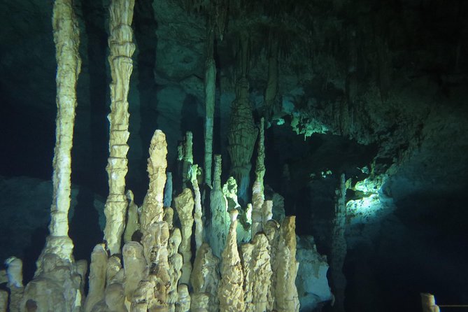 Cenote diving Dream Gate - Key highlights to know before you go