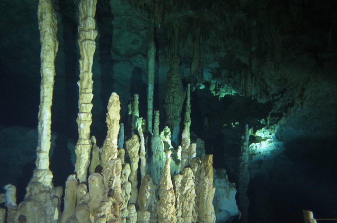 Cenote diving Dream Gate - Meeting point and timing: how the morning runs