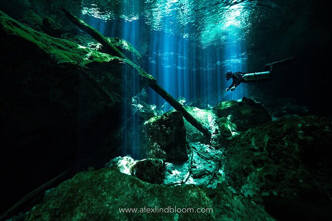 Cenotes 2-Day Scuba Diving Package in the Riviera Maya - Two days in Playa del Carmen’s reef + cenote world