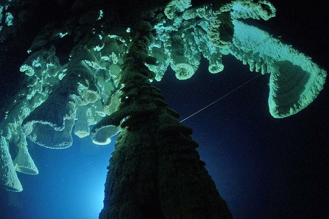 Cenotes 2-Tank Dive in Playa del Carmen/for certified divers only - Cenotes 101: why this underground water world exists